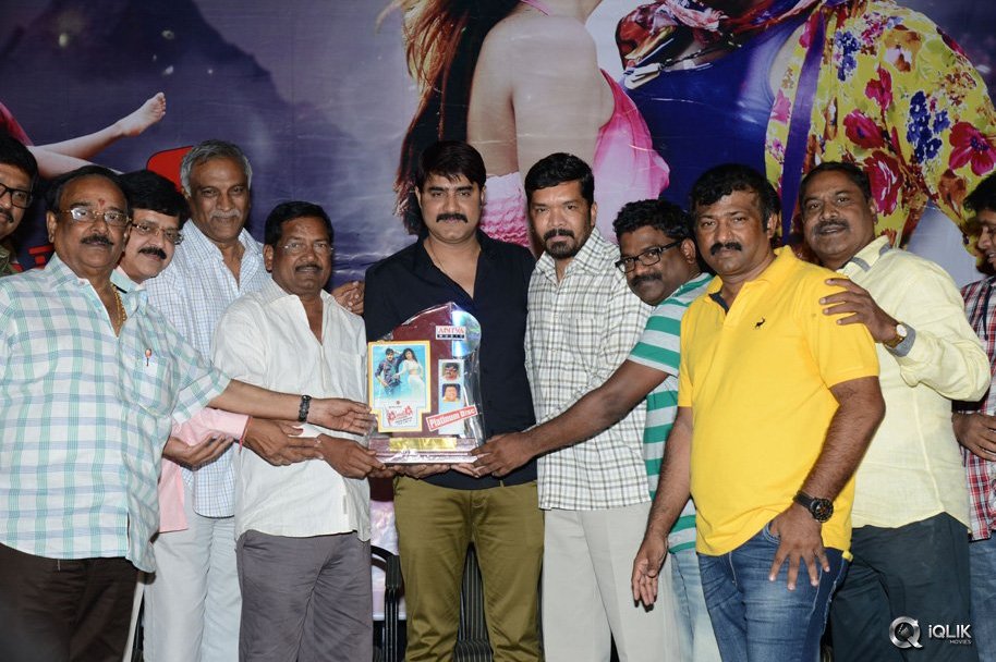 Dhee-Ante-Dhee-Movie-Platinum-Disc-Function